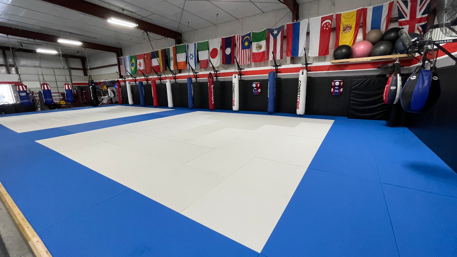 Alliance AZO Martial Arts Training Center LLC — photo