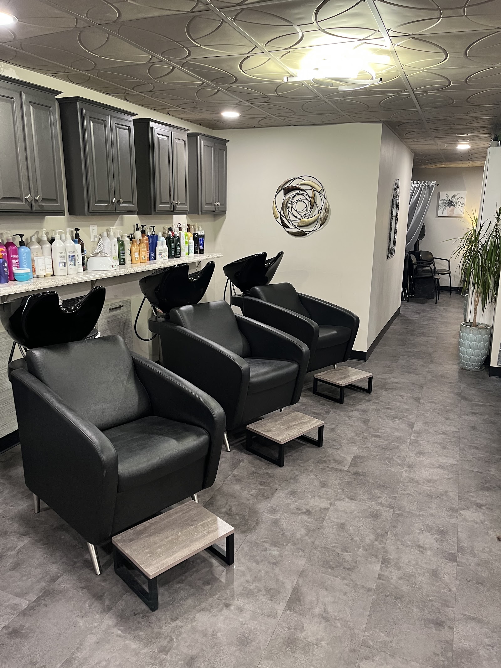 Allure Salon Professionals in Kalamazoo
