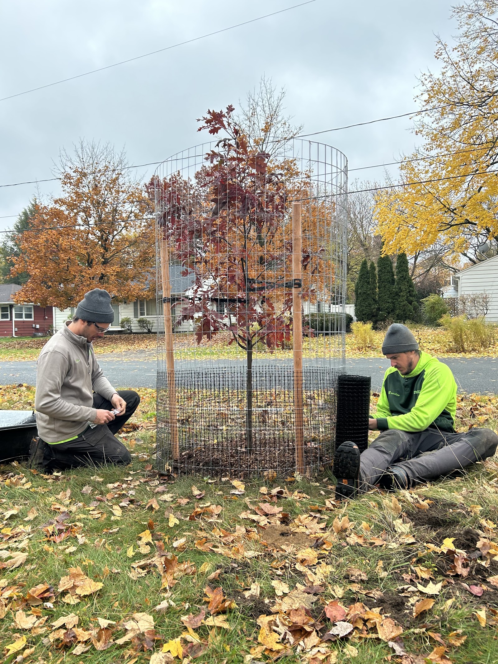 Arborist Services of Kalamazoo — photo