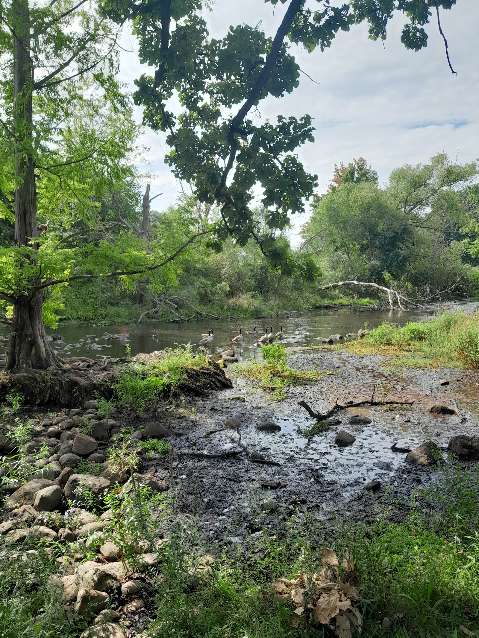 Blanche Hull Park in Kalamazoo