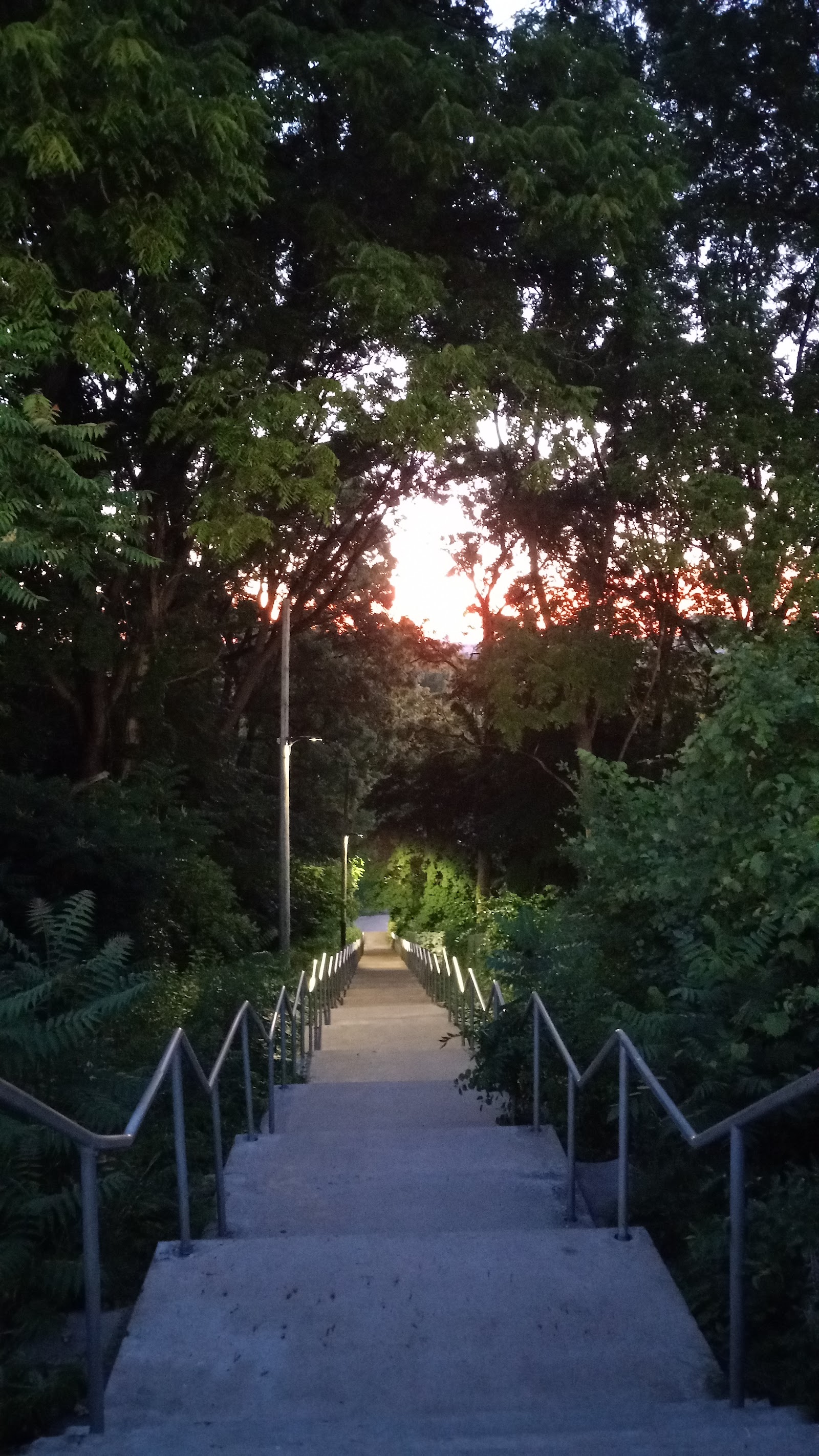 Davis Field — photo