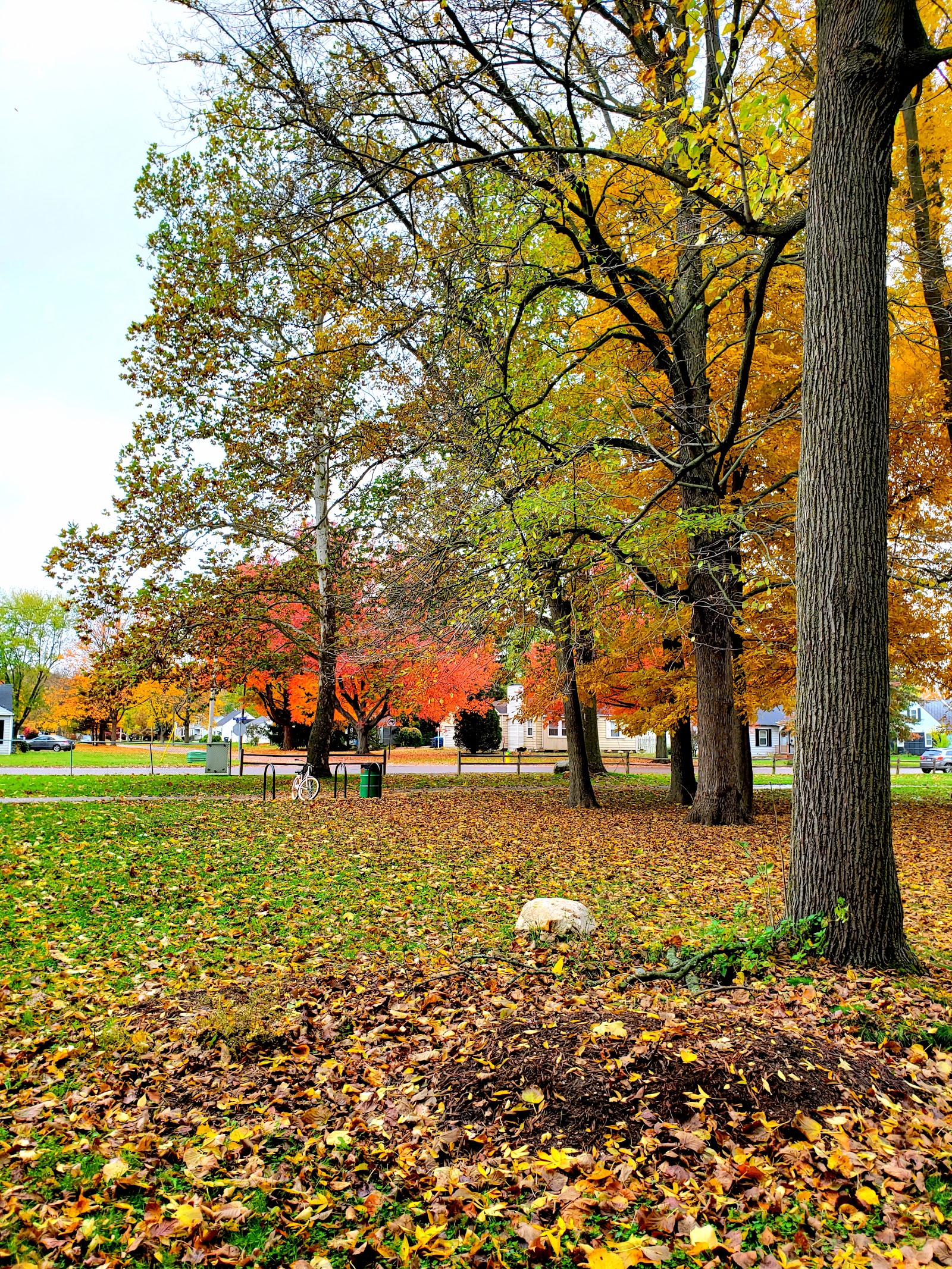 Hays Park — photo
