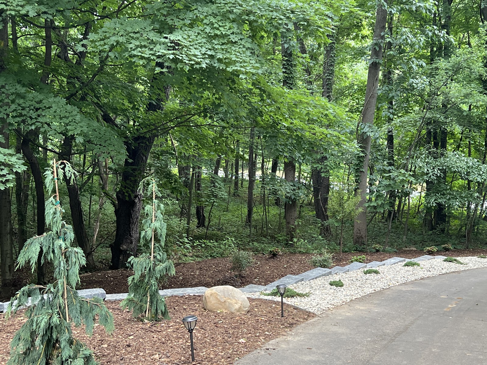 JMS Landscapes — photo