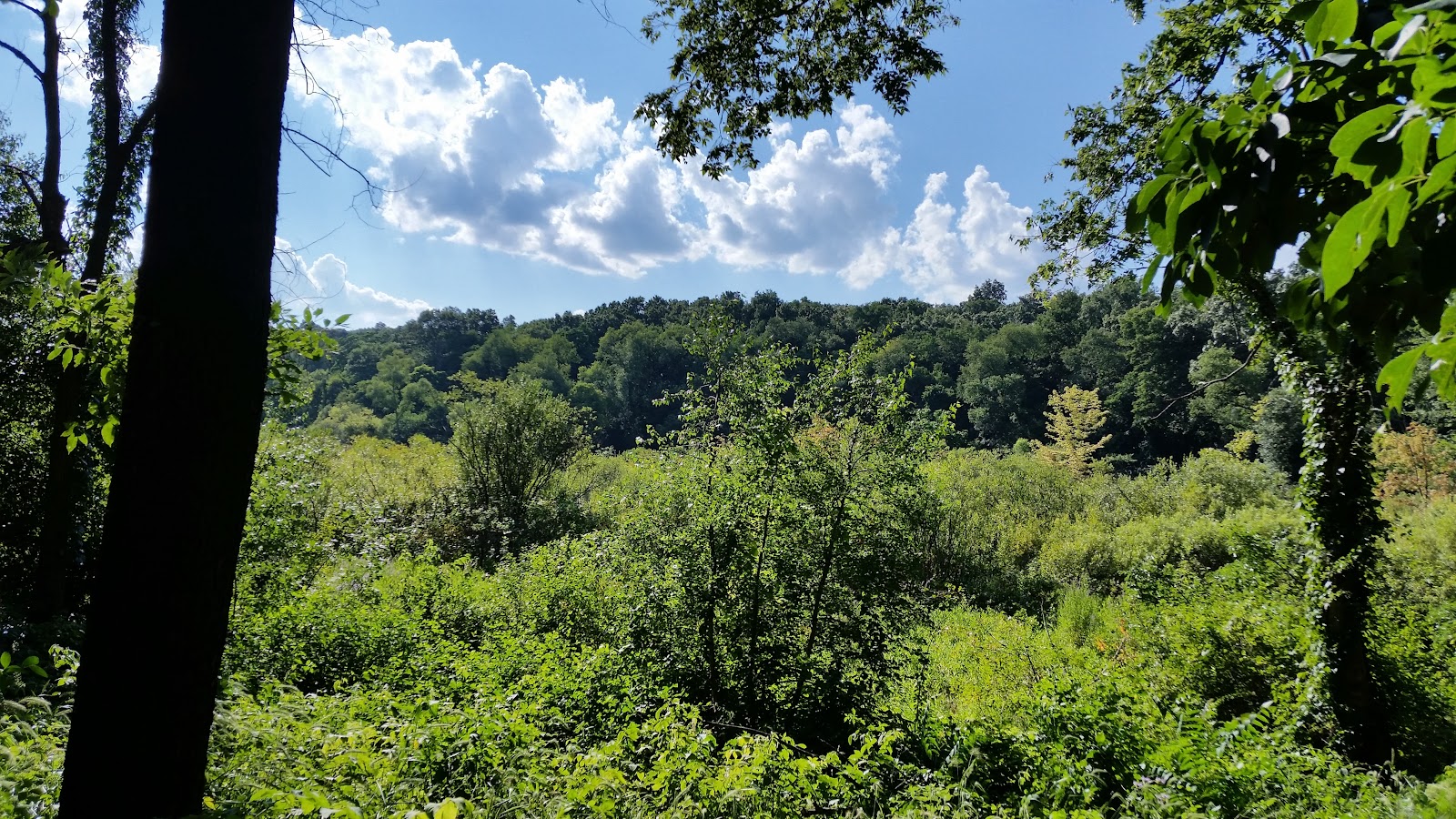 Kleinstuck Preserve & Nature Trail — photo