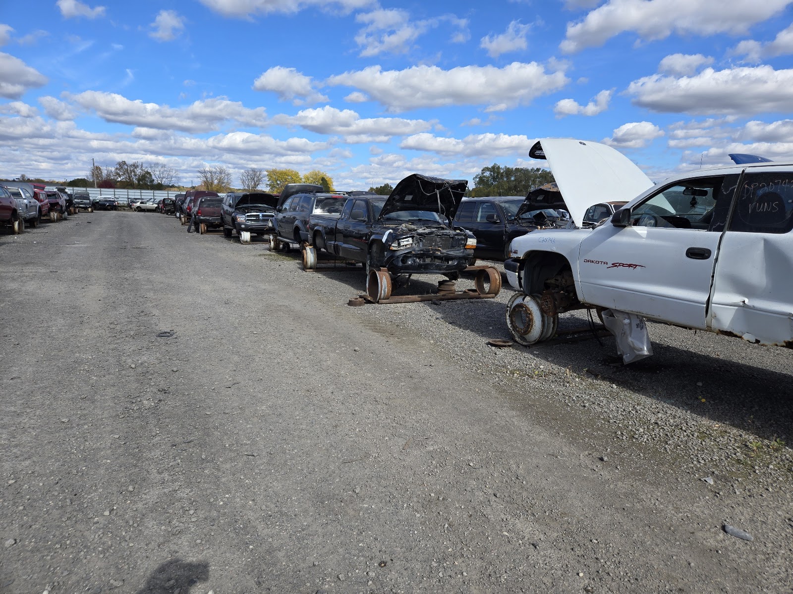 Light Truck Parts, LLC — photo