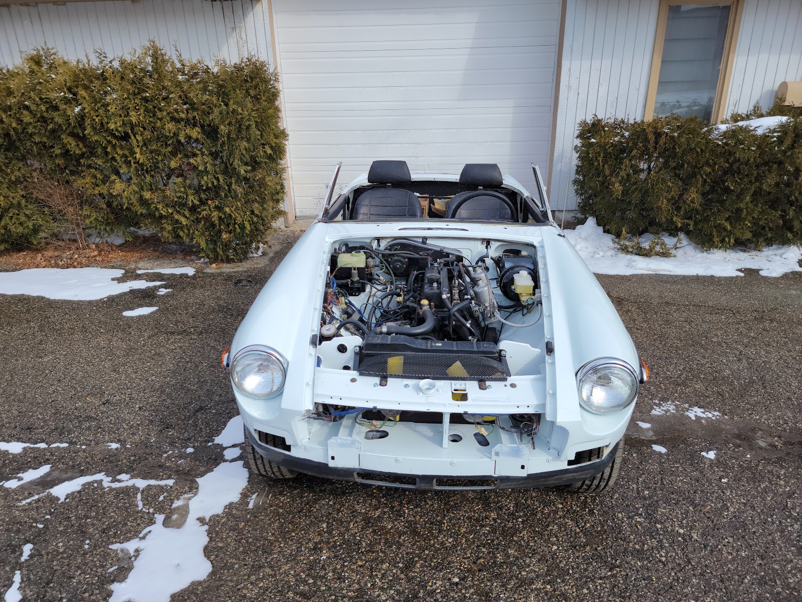 Mostly Jaguar — photo