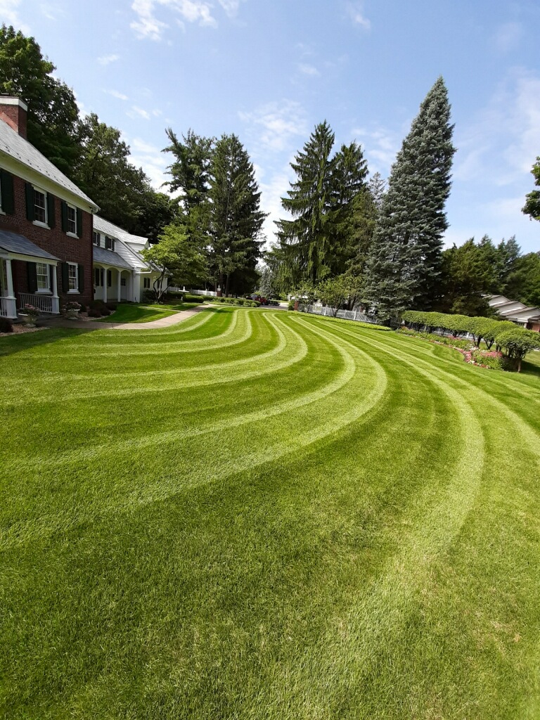ProTurf Management LLC — photo